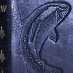 Books: Thumb img 3