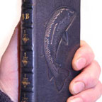 Books: Thumb img 9