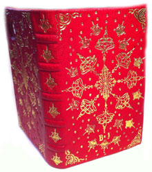 Red iPhone Case